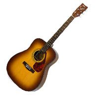 INSTRUMENTS_GUITAR Acoustic Guitar